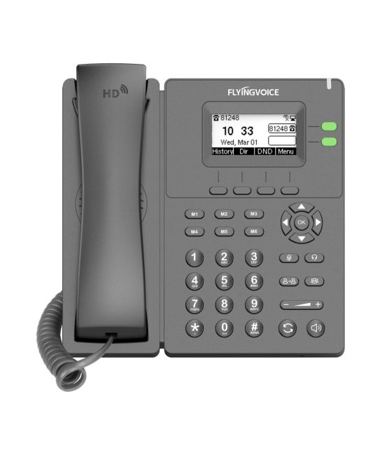 Flyingvoice P20/P20P/P20G Dual-line Business IP Phone